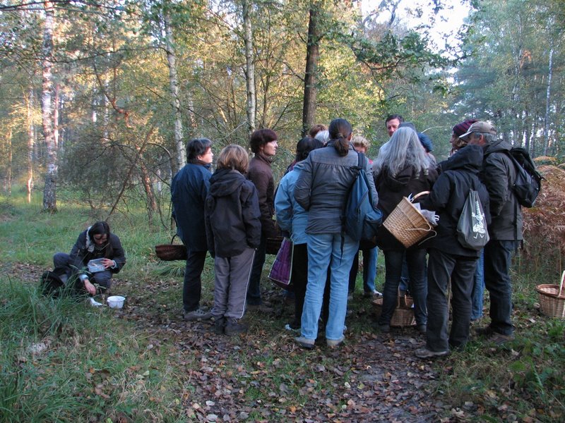 Mares au vinaigre 13